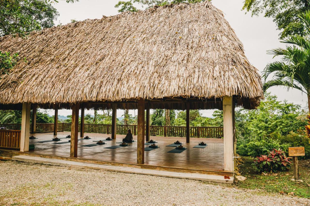 Copal Tree Lodge A Muy'Ono Resort Toledo District 외부 사진