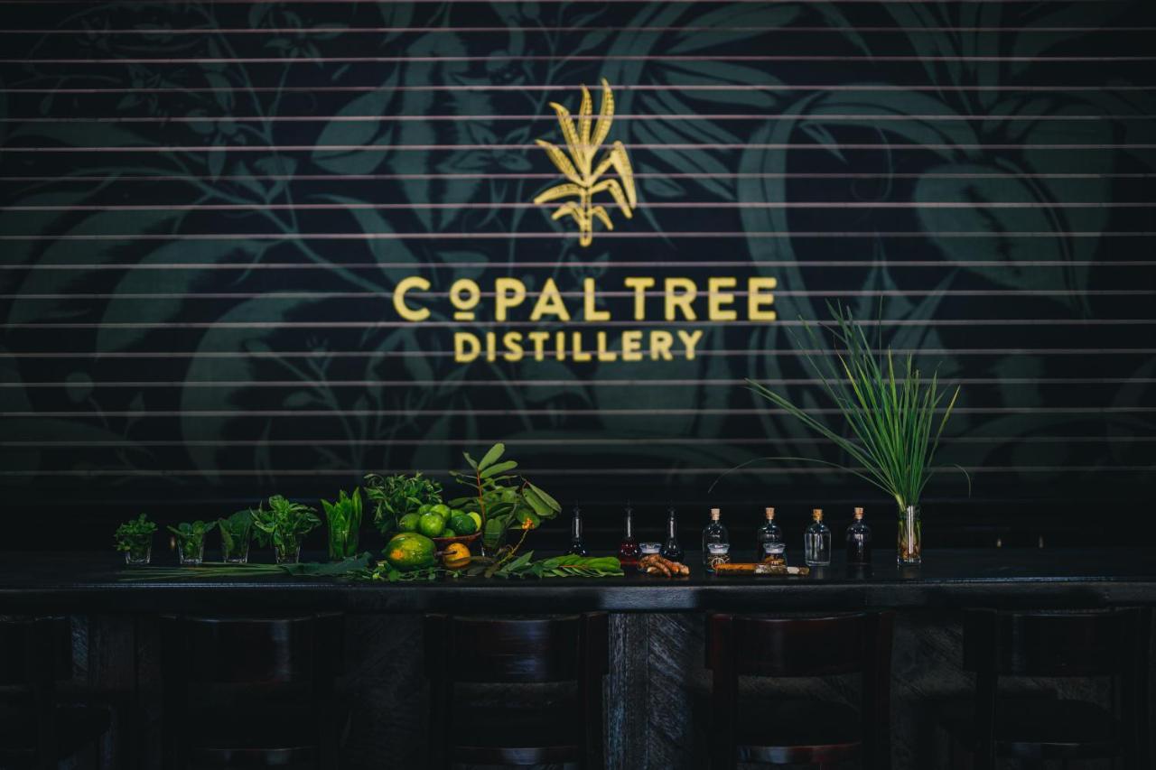 Copal Tree Lodge A Muy'Ono Resort Toledo District 외부 사진