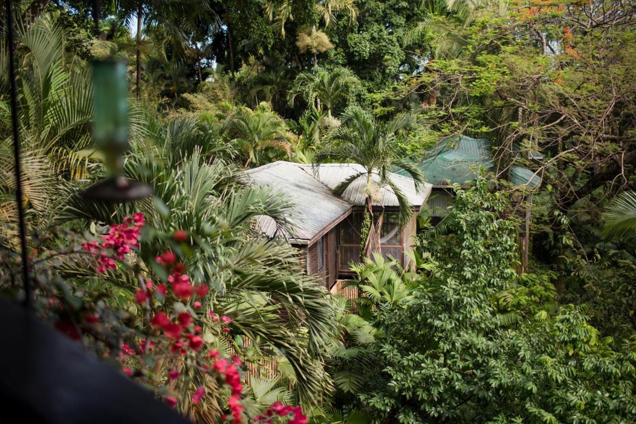 Copal Tree Lodge A Muy'Ono Resort Toledo District 외부 사진