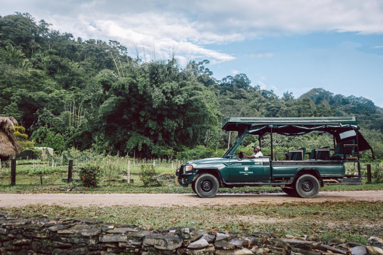 Copal Tree Lodge A Muy'Ono Resort Toledo District 외부 사진