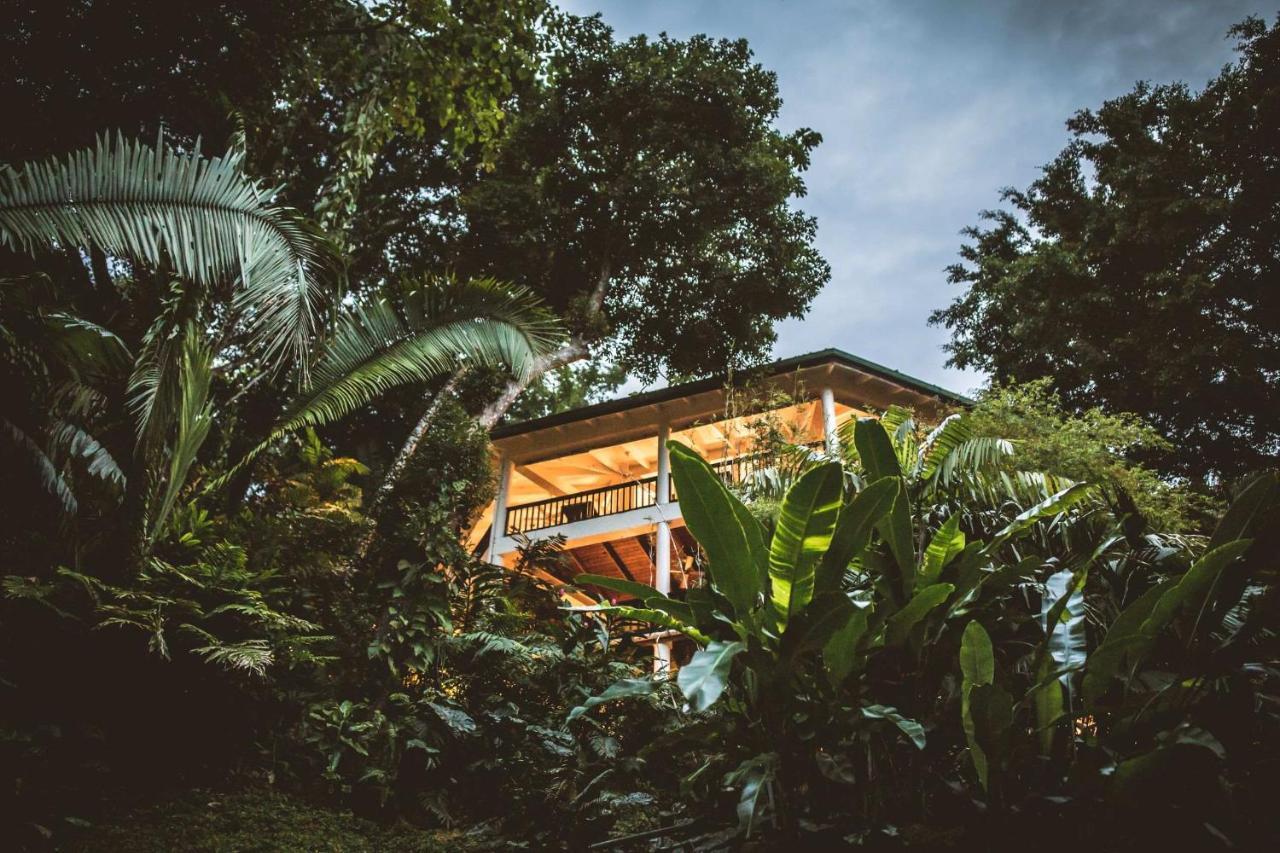 Copal Tree Lodge A Muy'Ono Resort Toledo District 외부 사진
